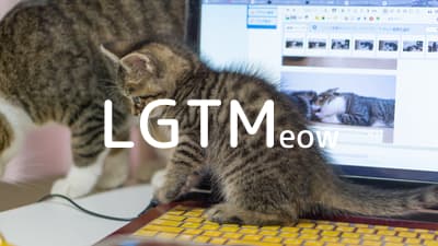 lgtm-cat-image